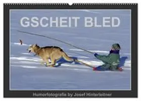 CALVENDO / Hinterleitner |  GSCHEIT BLED - Humorfotografie (Wandkalender 2026 DIN A2 quer), CALVENDO Monatskalender | Sonstiges |  Sack Fachmedien