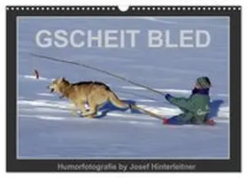 CALVENDO / Hinterleitner |  GSCHEIT BLED - Humorfotografie (Wandkalender 2026 DIN A3 quer), CALVENDO Monatskalender | Sonstiges |  Sack Fachmedien