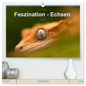Hilger / CALVENDO |  Faszination - Echsen (hochwertiger Premium Wandkalender 2026 DIN A2 quer), Kunstdruck in Hochglanz | Sonstiges |  Sack Fachmedien