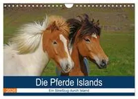 Pantke / CALVENDO |  Die Pferde Islands - Ein Streifzug durch Island (Wandkalender 2026 DIN A4 quer), CALVENDO Monatskalender | Sonstiges |  Sack Fachmedien