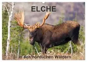 Henry / CALVENDO |  ELCHE In den nördlichen Wäldern (Wandkalender 2026 DIN A2 quer), CALVENDO Monatskalender | Sonstiges |  Sack Fachmedien
