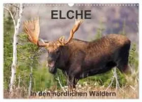 Henry / CALVENDO |  ELCHE In den nördlichen Wäldern (Wandkalender 2026 DIN A3 quer), CALVENDO Monatskalender | Sonstiges |  Sack Fachmedien