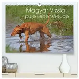 Mielewczyk / CALVENDO |  Magyar Vizsla - pure Lebensfreude (hochwertiger Premium Wandkalender 2026 DIN A2 quer), Kunstdruck in Hochglanz | Sonstiges |  Sack Fachmedien