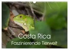 Gerber / CALVENDO |  Costa Rica. Faszinierende Tierwelt (Wandkalender 2026 DIN A3 quer), CALVENDO Monatskalender | Sonstiges |  Sack Fachmedien