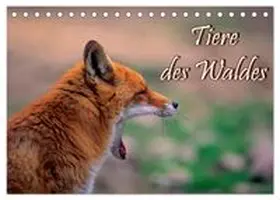 CALVENDO / Geduldig |  Tiere des Waldes (Tischkalender 2026 DIN A5 quer), CALVENDO Monatskalender | Sonstiges |  Sack Fachmedien