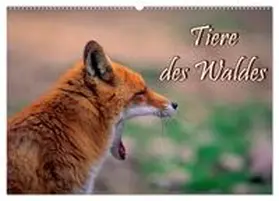 CALVENDO / Geduldig |  Tiere des Waldes (Wandkalender 2026 DIN A2 quer), CALVENDO Monatskalender | Sonstiges |  Sack Fachmedien