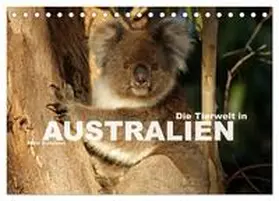 Schickert / CALVENDO |  Die Tierwelt in Australien (Tischkalender 2026 DIN A5 quer), CALVENDO Monatskalender | Sonstiges |  Sack Fachmedien