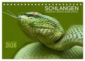 Hilger / CALVENDO |  SCHLANGEN. JÄGER MIT GESPALTENER ZUNGE (Tischkalender 2026 DIN A5 quer), CALVENDO Monatskalender | Sonstiges |  Sack Fachmedien