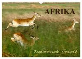 Haase / CALVENDO |  Afrika - Faszinierende Tierwelt (Wandkalender 2026 DIN A3 quer), CALVENDO Monatskalender | Sonstiges |  Sack Fachmedien