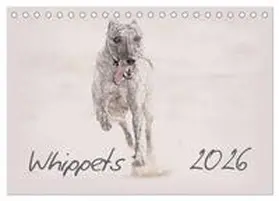 Redecker / CALVENDO |  Whippet 2026 (Tischkalender 2026 DIN A5 quer), CALVENDO Monatskalender | Sonstiges |  Sack Fachmedien