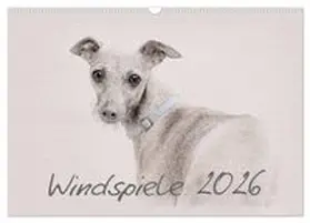 CALVENDO / Redecker |  Windspiele 2026 (Wandkalender 2026 DIN A3 quer), CALVENDO Monatskalender | Sonstiges |  Sack Fachmedien