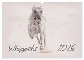 Redecker / CALVENDO |  Whippet 2026 (Wandkalender 2026 DIN A3 quer), CALVENDO Monatskalender | Sonstiges |  Sack Fachmedien