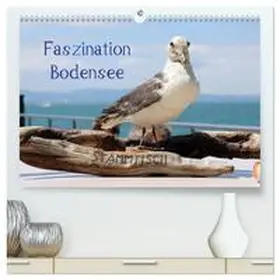 Raab / CALVENDO |  Faszination Bodensee (hochwertiger Premium Wandkalender 2026 DIN A2 quer), Kunstdruck in Hochglanz | Sonstiges |  Sack Fachmedien