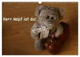 Kanthak / CALVENDO |  Herr Nopf ist da! (Wandkalender 2026 DIN A3 quer), CALVENDO Monatskalender | Sonstiges |  Sack Fachmedien