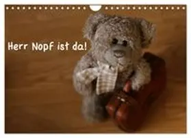 CALVENDO / Kanthak |  Herr Nopf ist da! (Wandkalender 2026 DIN A4 quer), CALVENDO Monatskalender | Sonstiges |  Sack Fachmedien