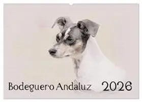 Redecker / CALVENDO |  Bodeguero Andaluz 2026 (Wandkalender 2026 DIN A2 quer), CALVENDO Monatskalender | Sonstiges |  Sack Fachmedien