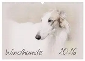 CALVENDO / Redecker |  Windhunde 2026 (Wandkalender 2026 DIN A3 quer), CALVENDO Monatskalender | Sonstiges |  Sack Fachmedien