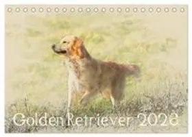 CALVENDO / Redecker |  Golden Retriever 2026 (Tischkalender 2026 DIN A5 quer), CALVENDO Monatskalender | Sonstiges |  Sack Fachmedien