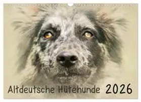 CALVENDO / Redecker |  Altdeutsche Hütehunde 2026 (Wandkalender 2026 DIN A3 quer), CALVENDO Monatskalender | Sonstiges |  Sack Fachmedien