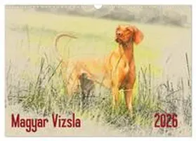 Redecker / CALVENDO |  Magyar Vizsla 2026 (Wandkalender 2026 DIN A3 quer), CALVENDO Monatskalender | Sonstiges |  Sack Fachmedien