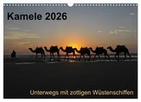 Weber / CALVENDO |  Kamele 2026 - Unterwegs mit zottigen Wüstenschiffen (Wandkalender 2026 DIN A3 quer), CALVENDO Monatskalender | Sonstiges |  Sack Fachmedien