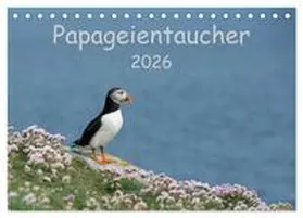 Leimer / CALVENDO |  Papageientaucher 2026 (Tischkalender 2026 DIN A5 quer), CALVENDO Monatskalender | Sonstiges |  Sack Fachmedien