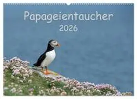 Leimer / CALVENDO |  Papageientaucher 2026 (Wandkalender 2026 DIN A2 quer), CALVENDO Monatskalender | Sonstiges |  Sack Fachmedien