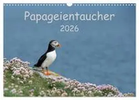 Leimer / CALVENDO |  Papageientaucher 2026 (Wandkalender 2026 DIN A3 quer), CALVENDO Monatskalender | Sonstiges |  Sack Fachmedien