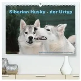 Ebardt / CALVENDO |  Siberian Husky - der Urtyp (hochwertiger Premium Wandkalender 2026 DIN A2 quer), Kunstdruck in Hochglanz | Sonstiges |  Sack Fachmedien