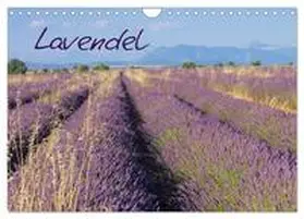 LianeM / CALVENDO |  Lavendel (Wandkalender 2026 DIN A4 quer), CALVENDO Monatskalender | Sonstiges |  Sack Fachmedien