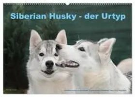 Ebardt / CALVENDO |  Siberian Husky - der Urtyp (Wandkalender 2026 DIN A2 quer), CALVENDO Monatskalender | Sonstiges |  Sack Fachmedien