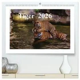 Hennig / CALVENDO |  Tiger 2026 (hochwertiger Premium Wandkalender 2026 DIN A2 quer), Kunstdruck in Hochglanz | Sonstiges |  Sack Fachmedien