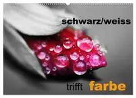 Kaden / CALVENDO |  schwarz/weiß trifft farbe (Wandkalender 2026 DIN A2 quer), CALVENDO Monatskalender | Sonstiges |  Sack Fachmedien