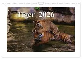 Hennig / CALVENDO |  Tiger 2026 (Wandkalender 2026 DIN A4 quer), CALVENDO Monatskalender | Sonstiges |  Sack Fachmedien