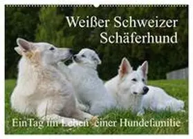 Starick / CALVENDO |  Weißer Schweizer Schäferhund - Ein Tag im Leben einer Hundefamilie (Wandkalender 2026 DIN A2 quer), CALVENDO Monatskalender | Sonstiges |  Sack Fachmedien
