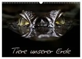 CALVENDO / Lehmann |  Tiere unserer Erde (Wandkalender 2026 DIN A3 quer), CALVENDO Monatskalender | Sonstiges |  Sack Fachmedien