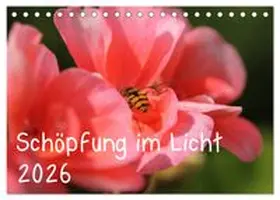 CALVENDO / Hildebrand |  Schöpfung im Licht (Tischkalender 2026 DIN A5 quer), CALVENDO Monatskalender | Sonstiges |  Sack Fachmedien