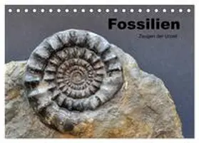 Wagner / CALVENDO |  Fossilien - Zeugen der Urzeit (Tischkalender 2026 DIN A5 quer), CALVENDO Monatskalender | Sonstiges |  Sack Fachmedien