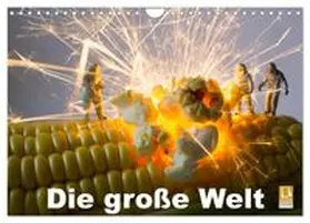 CALVENDO / Rochow |  Die große Welt (Wandkalender 2026 DIN A4 quer), CALVENDO Monatskalender | Sonstiges |  Sack Fachmedien