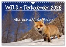 CALVENDO / Colombo |  WILD - Tierkalender 2026 (Wandkalender 2026 DIN A4 quer), CALVENDO Monatskalender | Sonstiges |  Sack Fachmedien