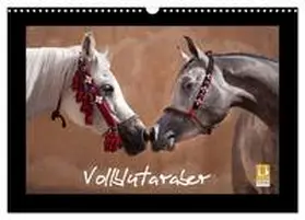 Tilborghs / CALVENDO |  Vollblutaraber (Wandkalender 2026 DIN A3 quer), CALVENDO Monatskalender | Sonstiges |  Sack Fachmedien
