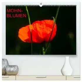 Jäger / CALVENDO |  Mohnblumen (hochwertiger Premium Wandkalender 2026 DIN A2 quer), Kunstdruck in Hochglanz | Sonstiges |  Sack Fachmedien