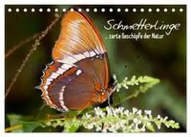 Viola / CALVENDO |  Schmetterlinge - zarte Geschöpfe der Natur (Tischkalender 2026 DIN A5 quer), CALVENDO Monatskalender | Sonstiges |  Sack Fachmedien