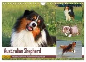 Mielewczyk / CALVENDO |  Australian Shepherd - Hütehunde mit Familienanschluss (Wandkalender 2026 DIN A4 quer), CALVENDO Monatskalender | Sonstiges |  Sack Fachmedien