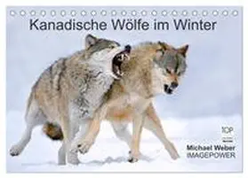 Weber / CALVENDO |  Kanadische Wölfe im Winter (Tischkalender 2026 DIN A5 quer), CALVENDO Monatskalender | Sonstiges |  Sack Fachmedien