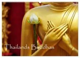 by Sylvia Seibl / CALVENDO |  Thailands Buddhas (Wandkalender 2026 DIN A2 quer), CALVENDO Monatskalender | Sonstiges |  Sack Fachmedien