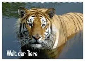 CALVENDO / Riedel |  Welt der Tiere (Wandkalender 2026 DIN A2 quer), CALVENDO Monatskalender | Sonstiges |  Sack Fachmedien