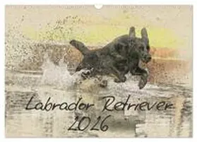 Redecker / CALVENDO |  Labrador Retriever 2026 (Wandkalender 2026 DIN A3 quer), CALVENDO Monatskalender | Sonstiges |  Sack Fachmedien