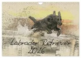 CALVENDO / Redecker |  Labrador Retriever 2026 (Wandkalender 2026 DIN A4 quer), CALVENDO Monatskalender | Sonstiges |  Sack Fachmedien