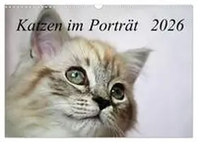 Chrystal / CALVENDO |  Katzen im Porträt / Geburtstagskalender (Wandkalender 2026 DIN A3 quer), CALVENDO Monatskalender | Sonstiges |  Sack Fachmedien